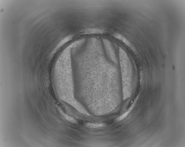 X0000070391213200606301938