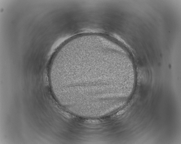 X0000070391215200606301938