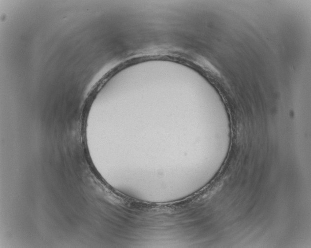 X0000070391216200606301938