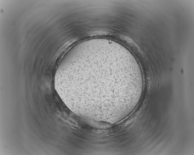 X0000070391217200606301938