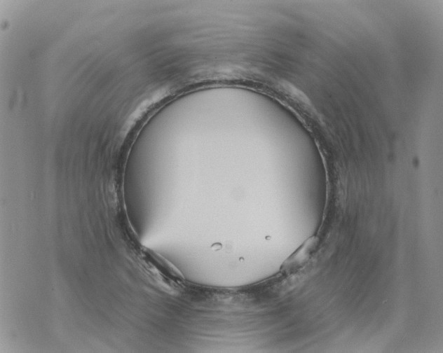 X0000070391218200606301938