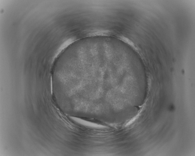 X0000070391219200606301938