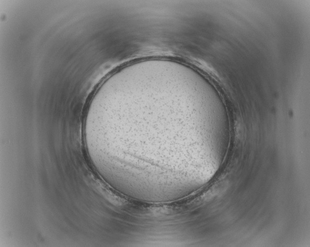 X0000070391220200606301938