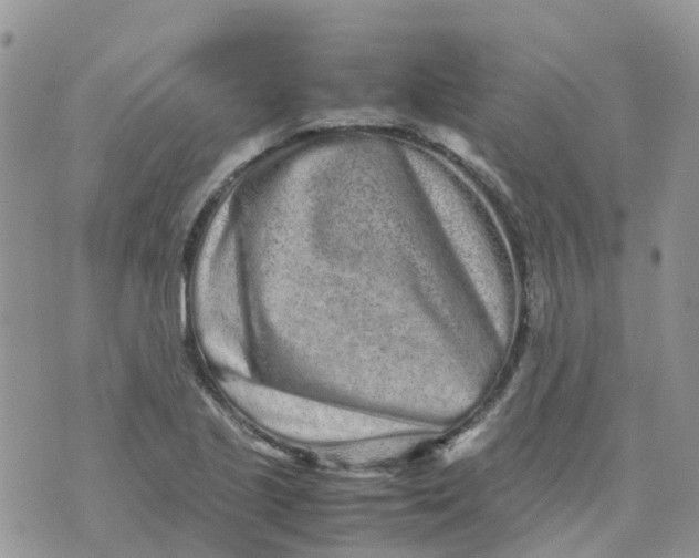 X0000070391221200606301938