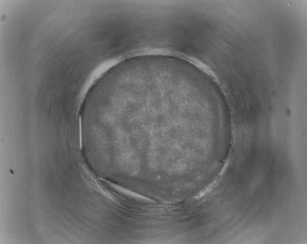 X0000070391223200606301938