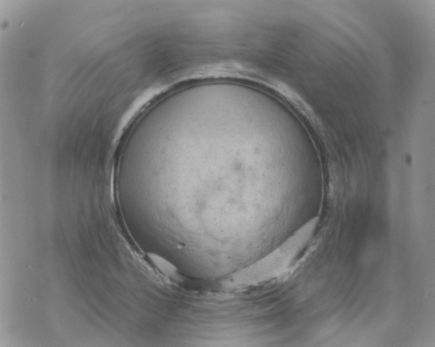 X0000070391224200606301938