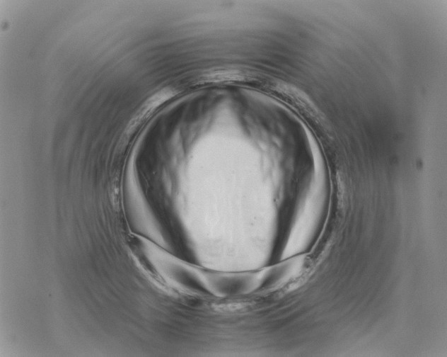 X0000070391225200606301938