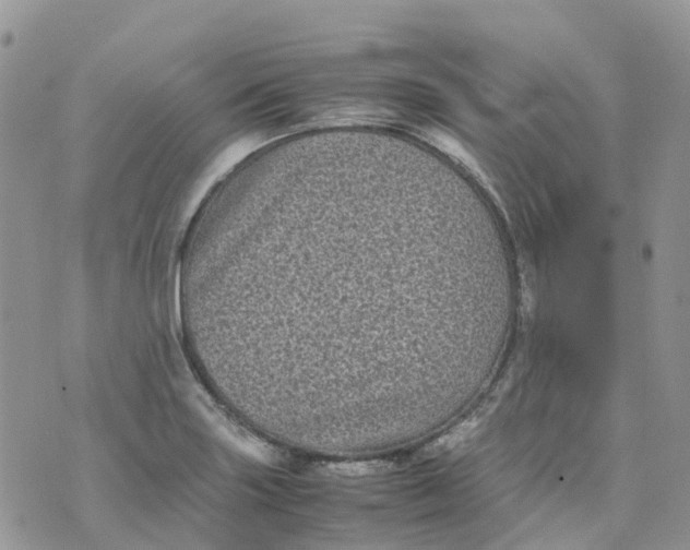 X0000070391227200606301938