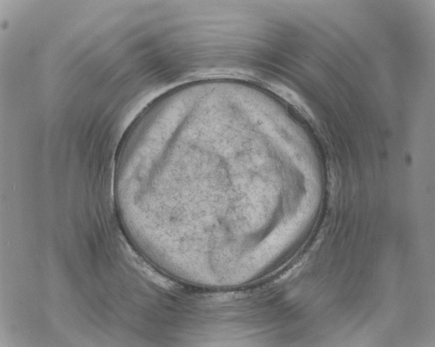 X0000070391228200606301938