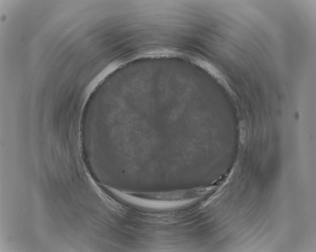 X0000070391229200606301938