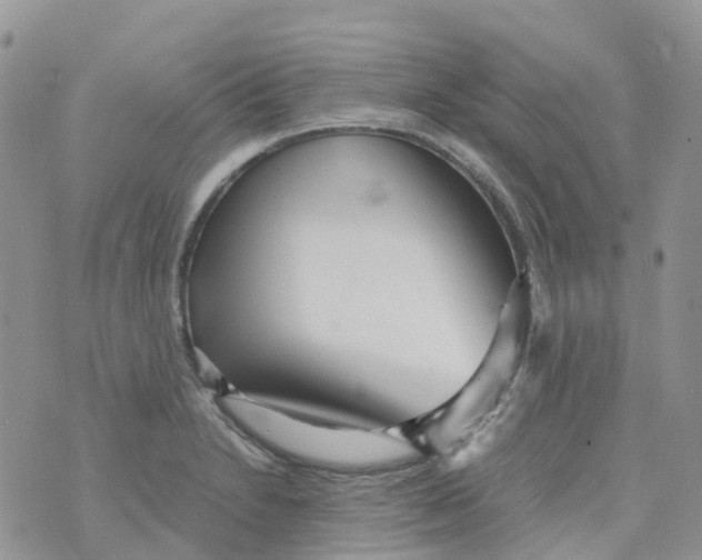 X0000070391230200606301938