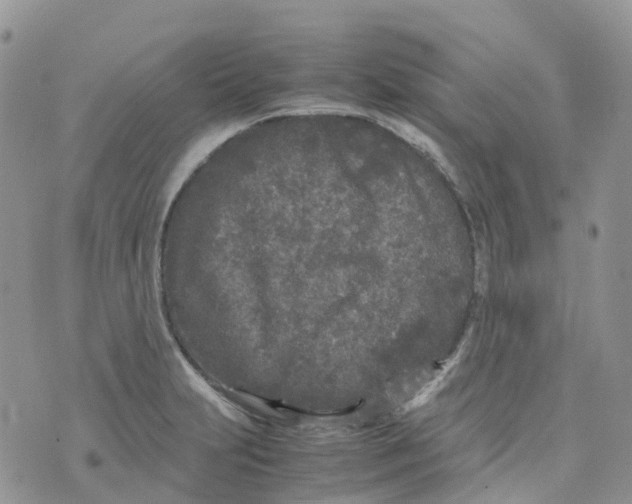 X0000070391231200606301938