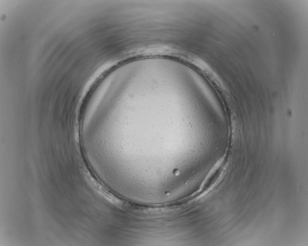 X0000070391232200606301938