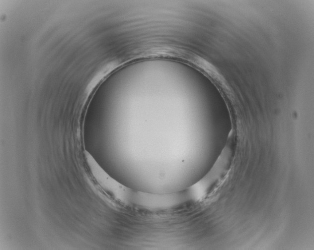 X0000070391234200606301938