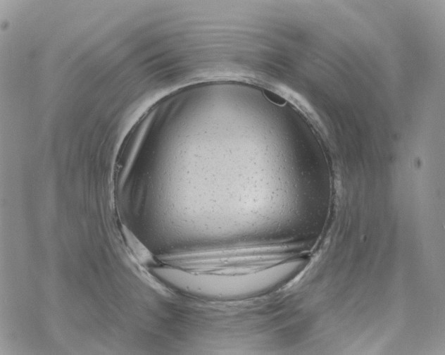 X0000070391236200606301938