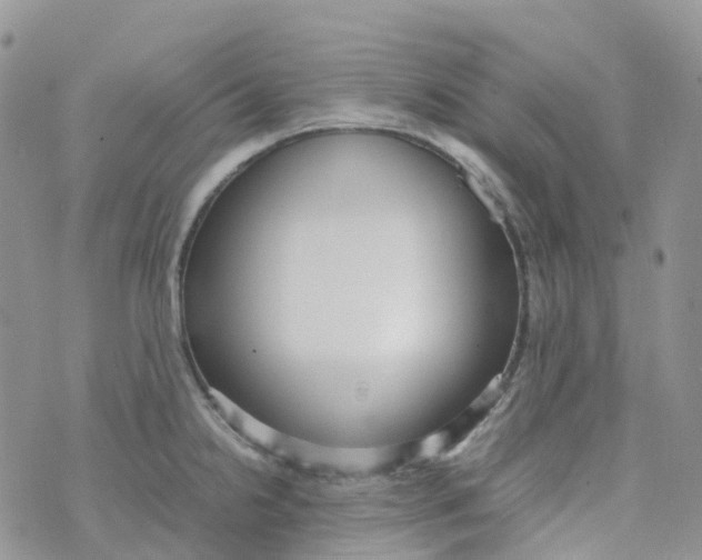 X0000070391238200606301938