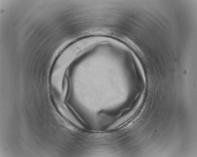 X0000070391240200606301938