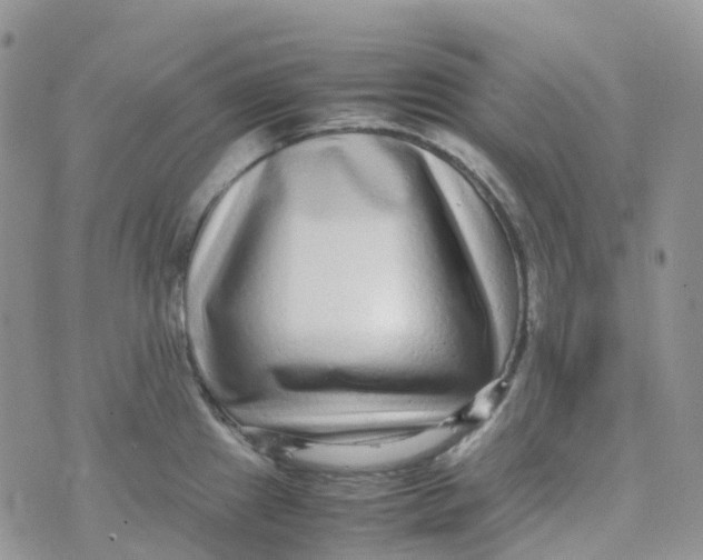 X0000070391241200606301938