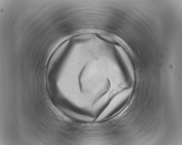 X0000070391244200606301938