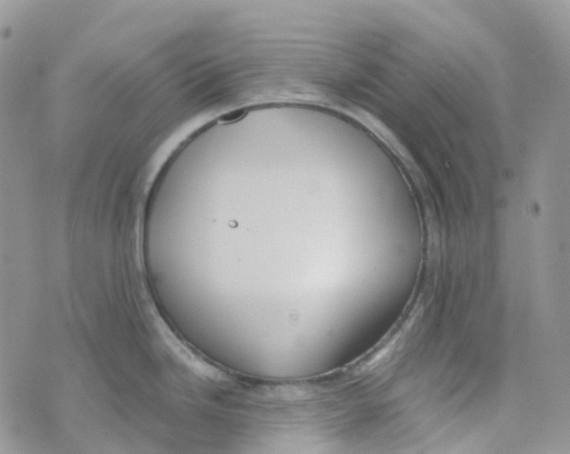 X0000070391246200606301938