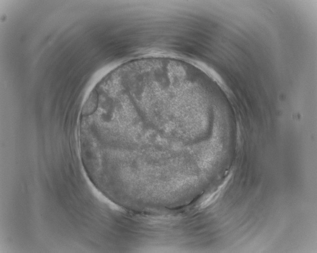 X0000070391247200606301938