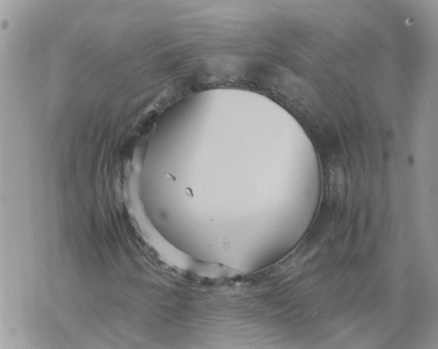 X0000070391250200606301938