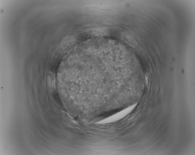 X0000070391251200606301937