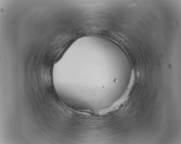 X0000070391252200606301937