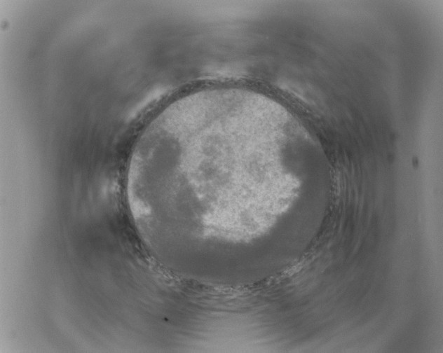 X0000070391254200606301937