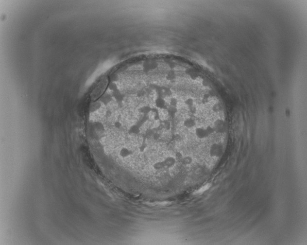 X0000070391255200606301937