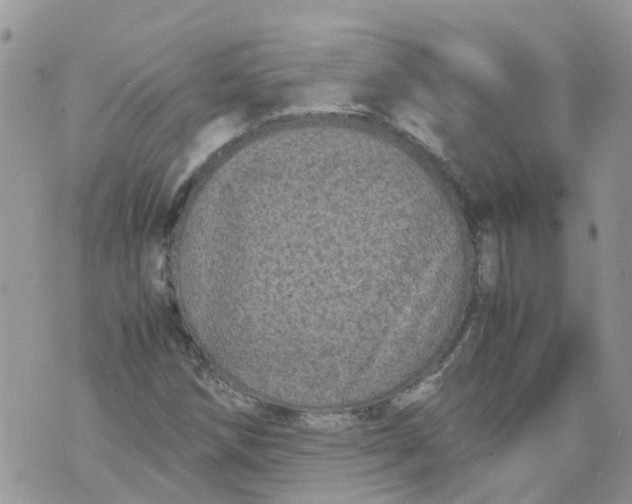 X0000070391258200606301937