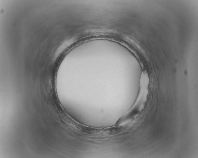 X0000070391261200606301937