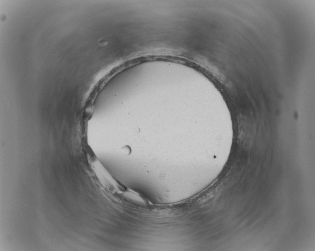 X0000070391264200606301937