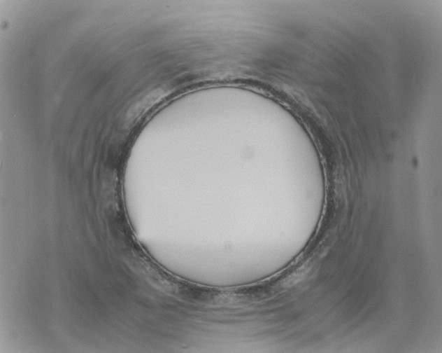 X0000070391265200606301937