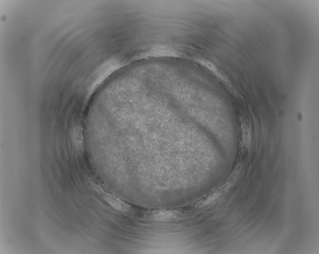 X0000070391266200606301937