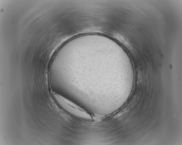 X0000070391268200606301937