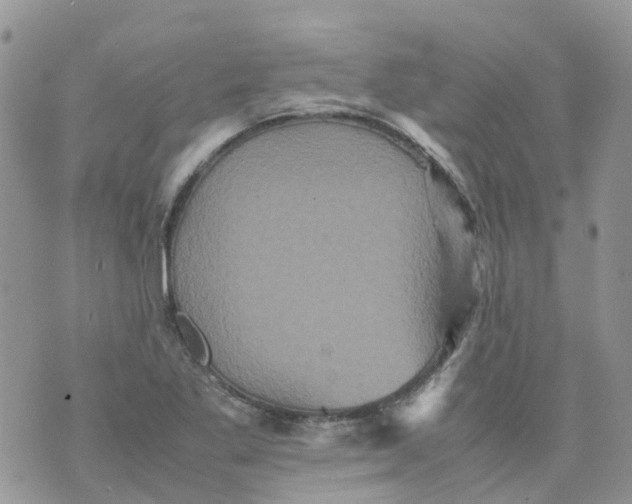 X0000070391269200606301937