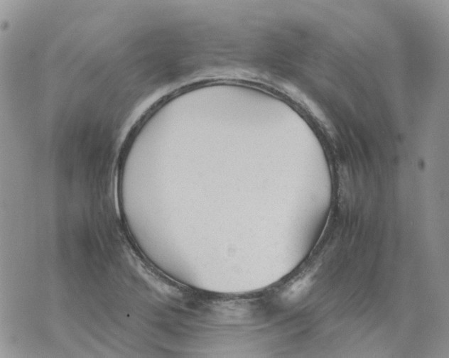 X0000070391272200606301937