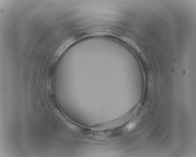 X0000070391273200606301937