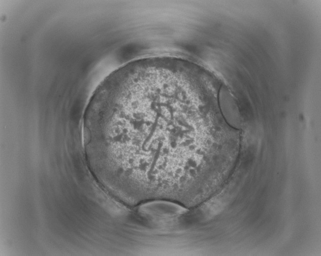 X0000070391275200606301937