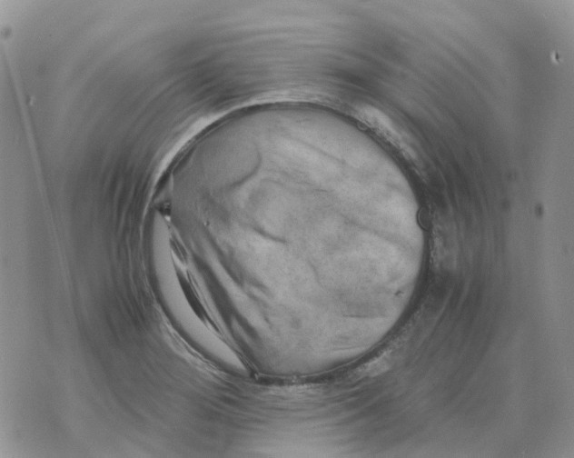 X0000070391276200606301937