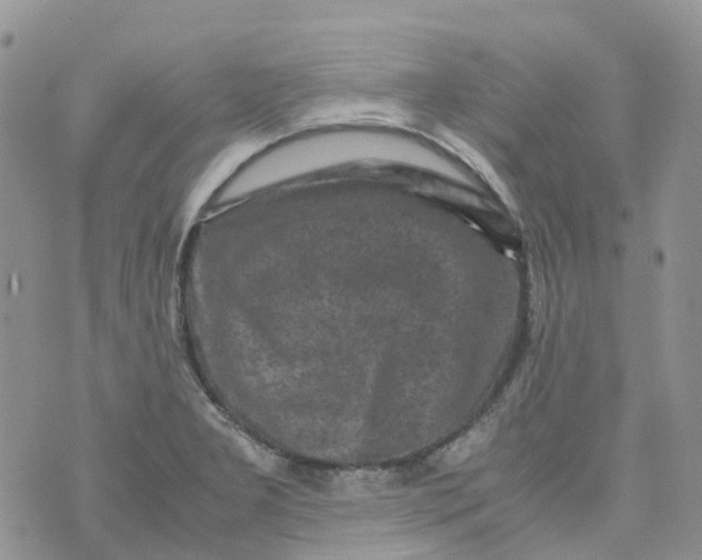 X0000070391277200606301937