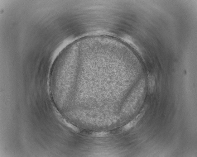 X0000070391278200606301937