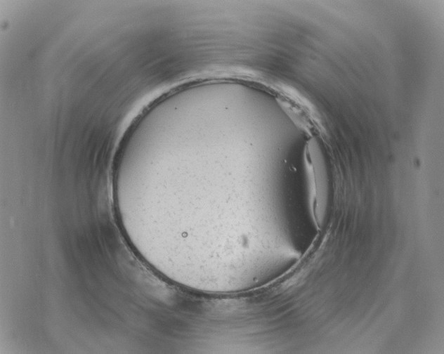 X0000070391280200606301937