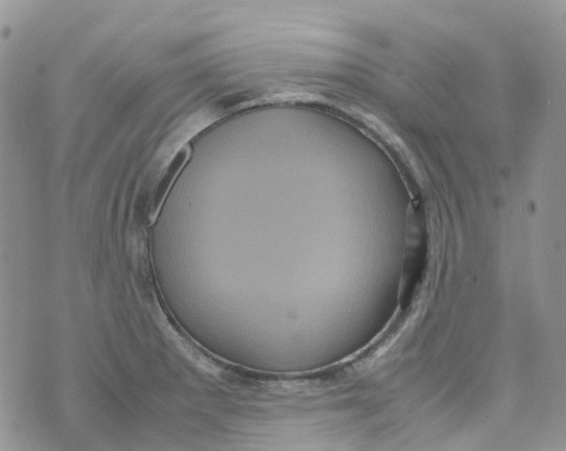 X0000070391281200606301937