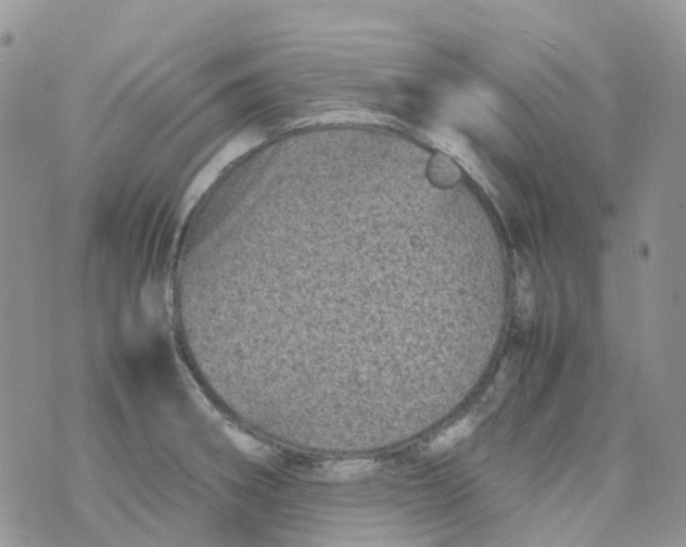 X0000070391282200606301937