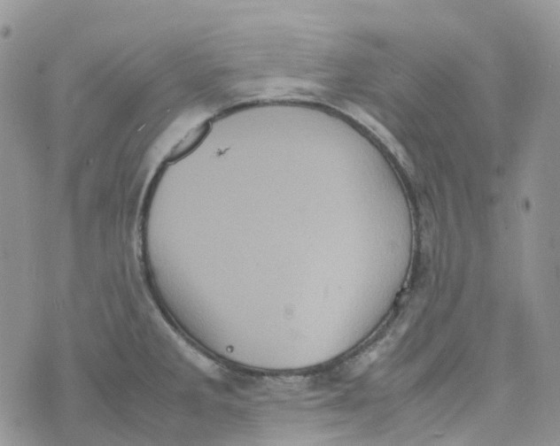 X0000070391285200606301937