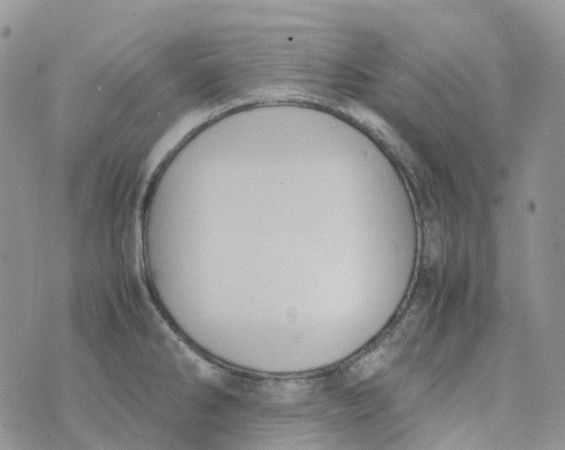 X0000070391286200606301937