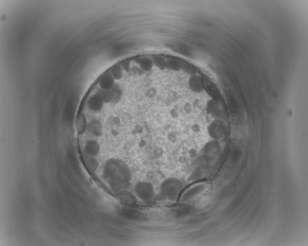 X0000070391287200606301937