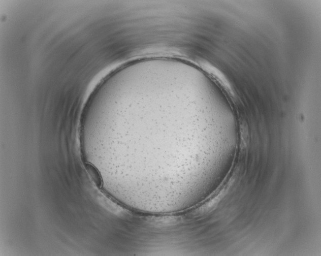 X0000070391288200606301937